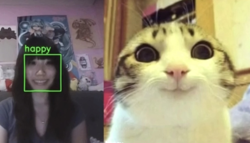 Meow Mirror